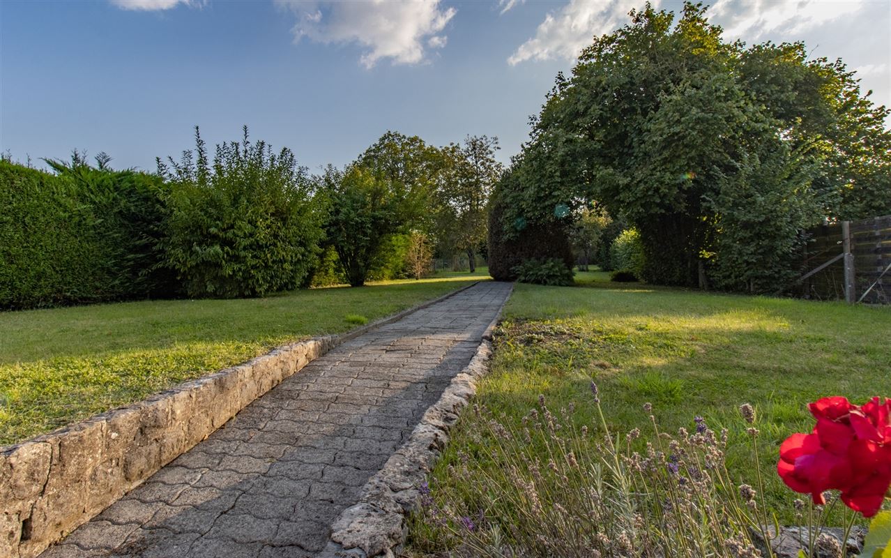 VTWELHOUCHETTES6- (3).jpg