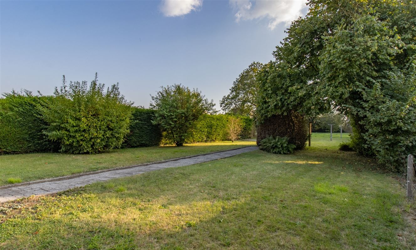 VTWELHOUCHETTES6- (4).jpg