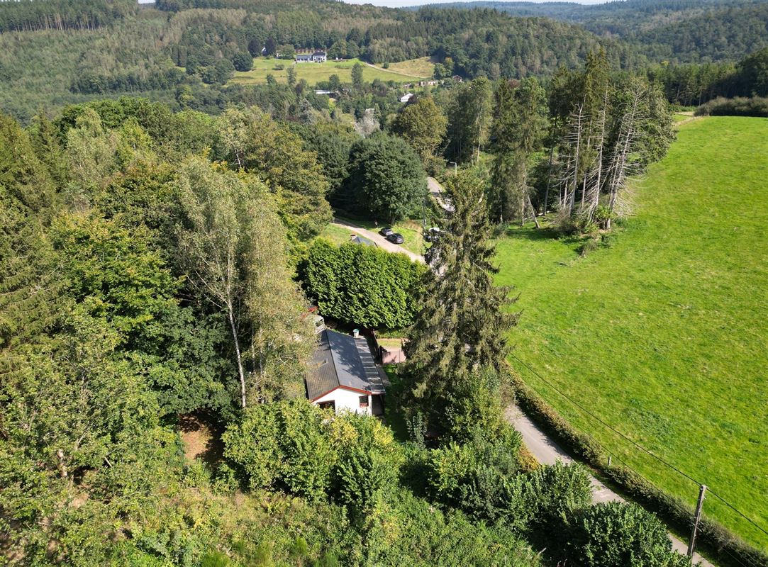 VTWELLESSE191- (6).jpg