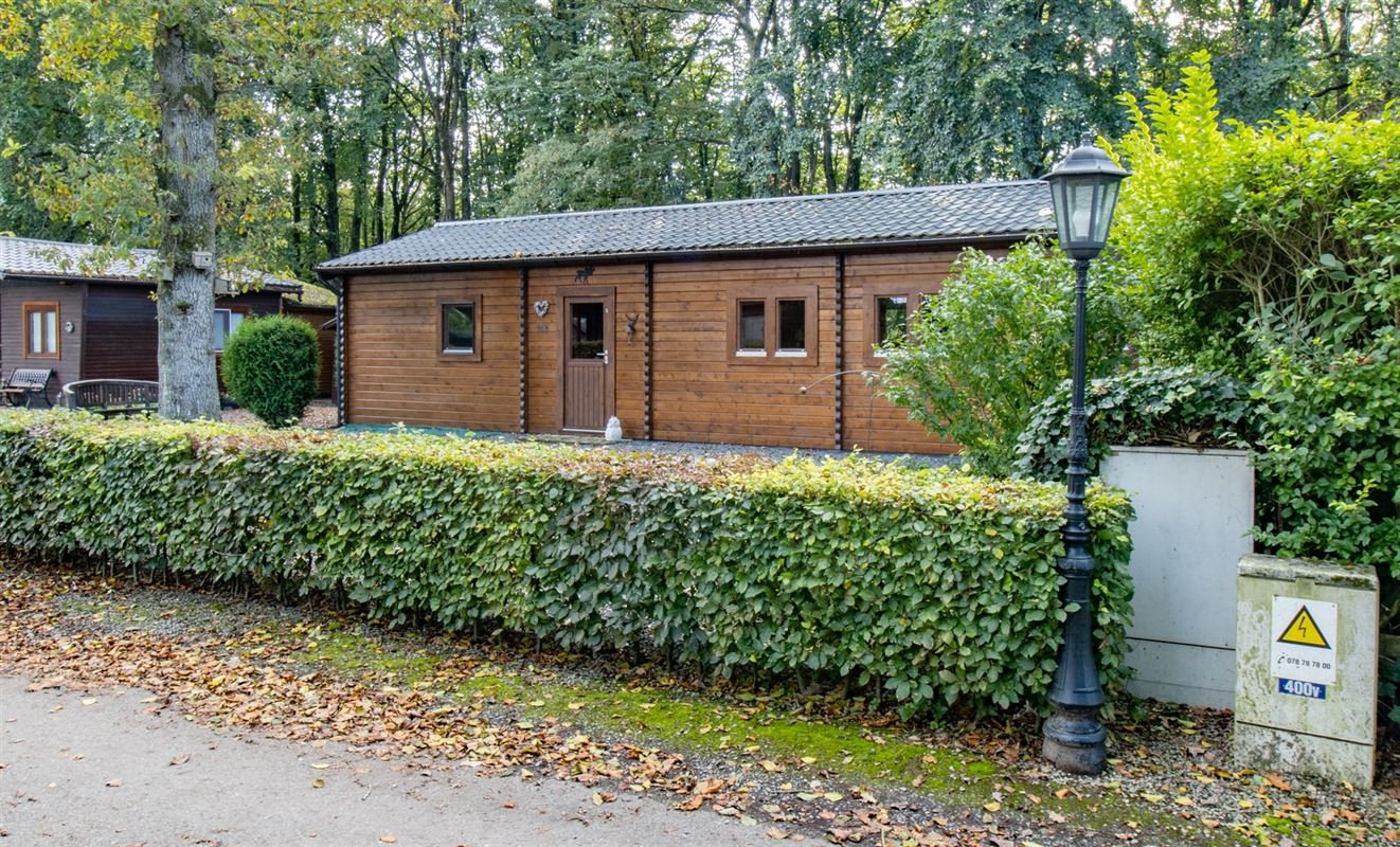 VTWELBRULINS141- (3).jpg