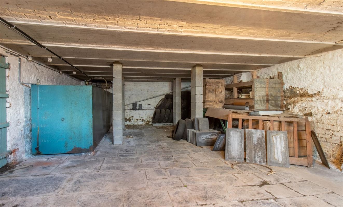 VTWELPLOACE1112- (12).jpg