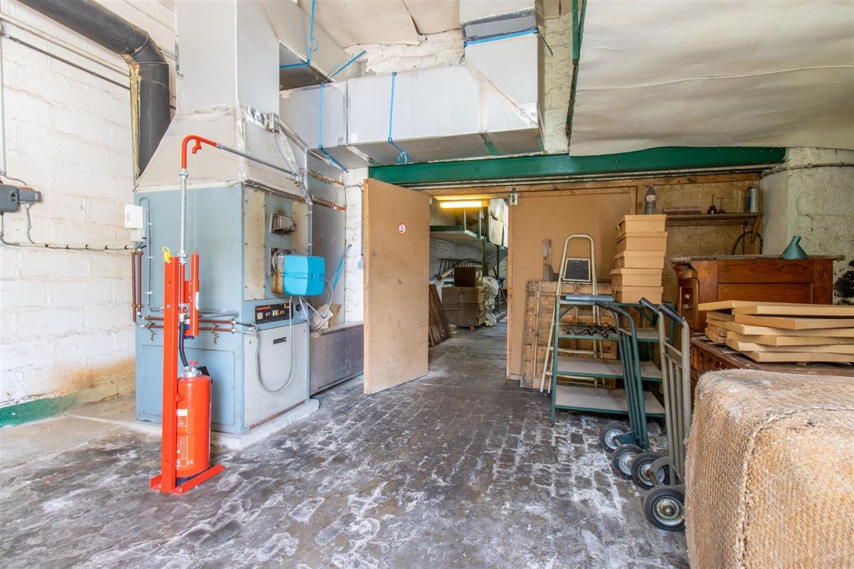 VTWELPLOACE1112- (5).jpg