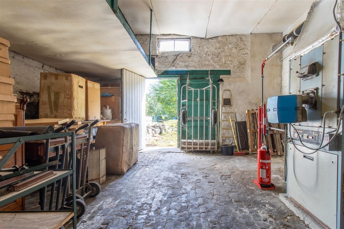 VTWELPLOACE1112- (9).jpg