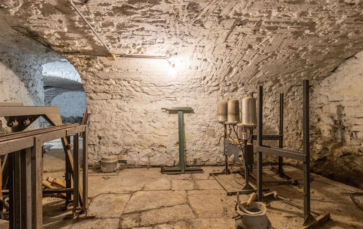 VTWELPLOACE1112- (14).jpg