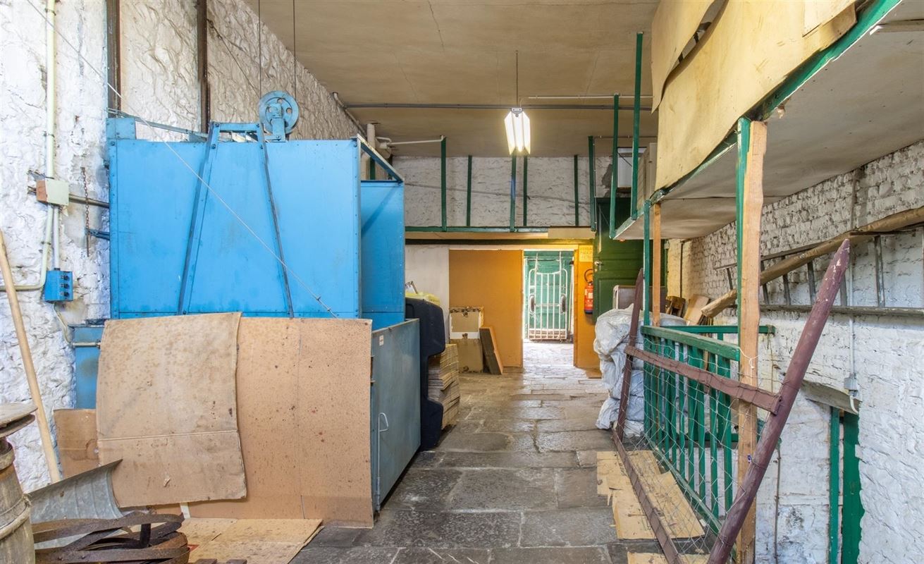 VTWELPLOACE1112- (4).jpg