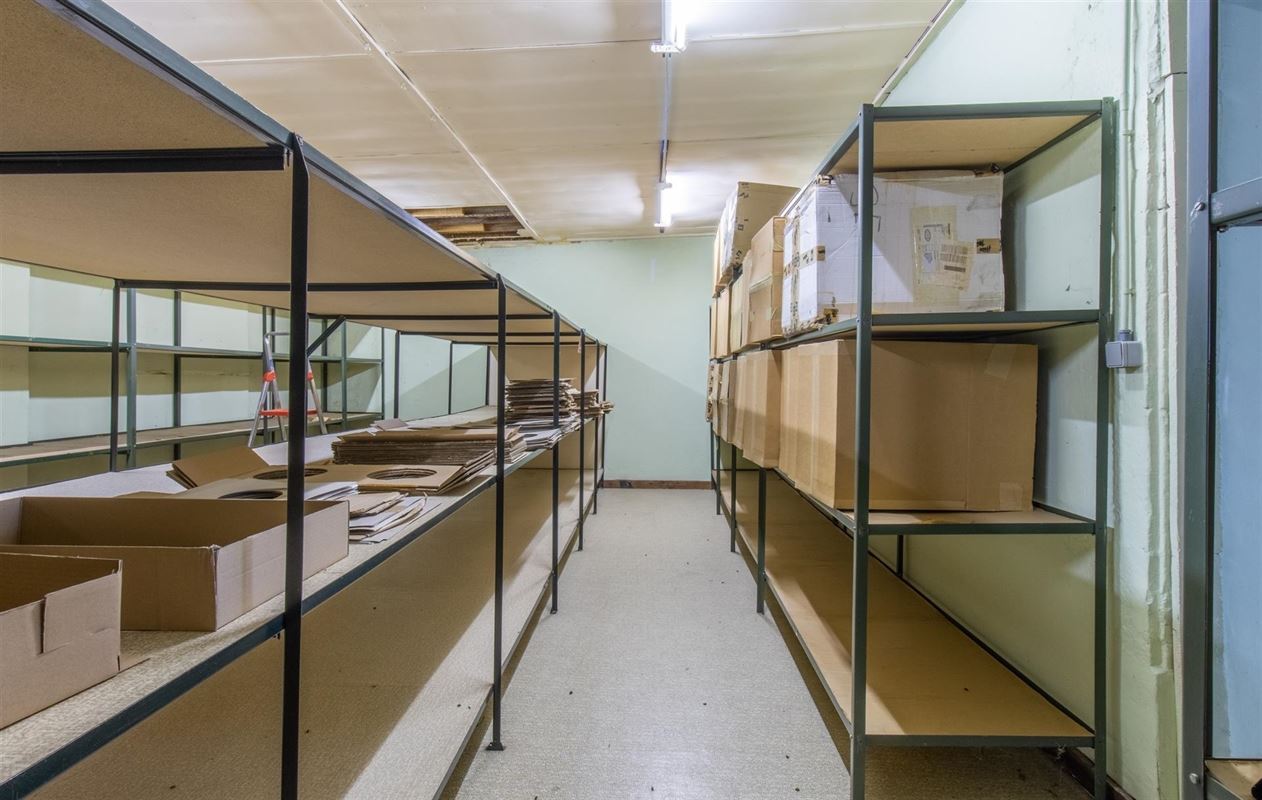 VTWELPLOACE1112- (28).jpg