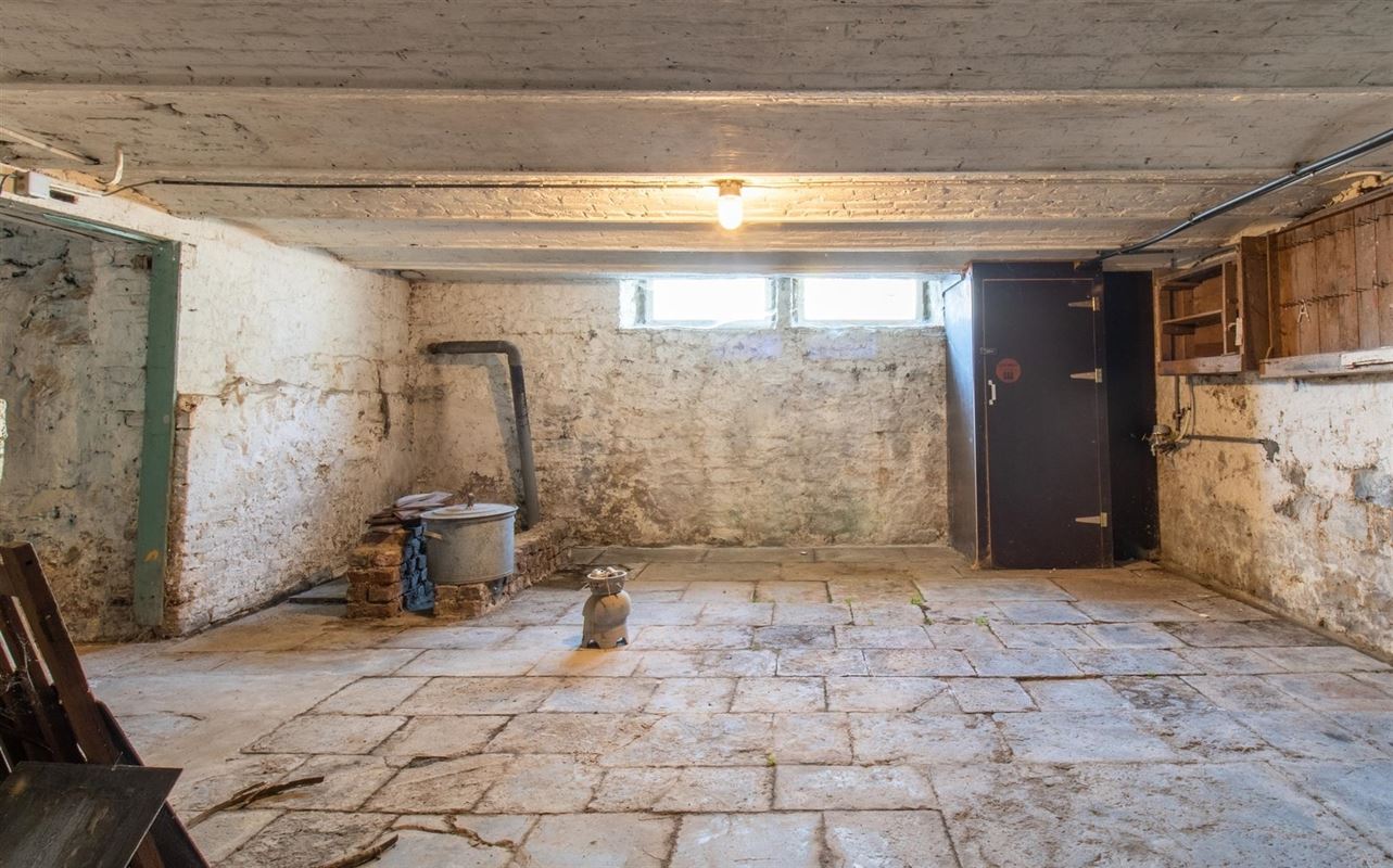 VTWELPLOACE1112- (13).jpg