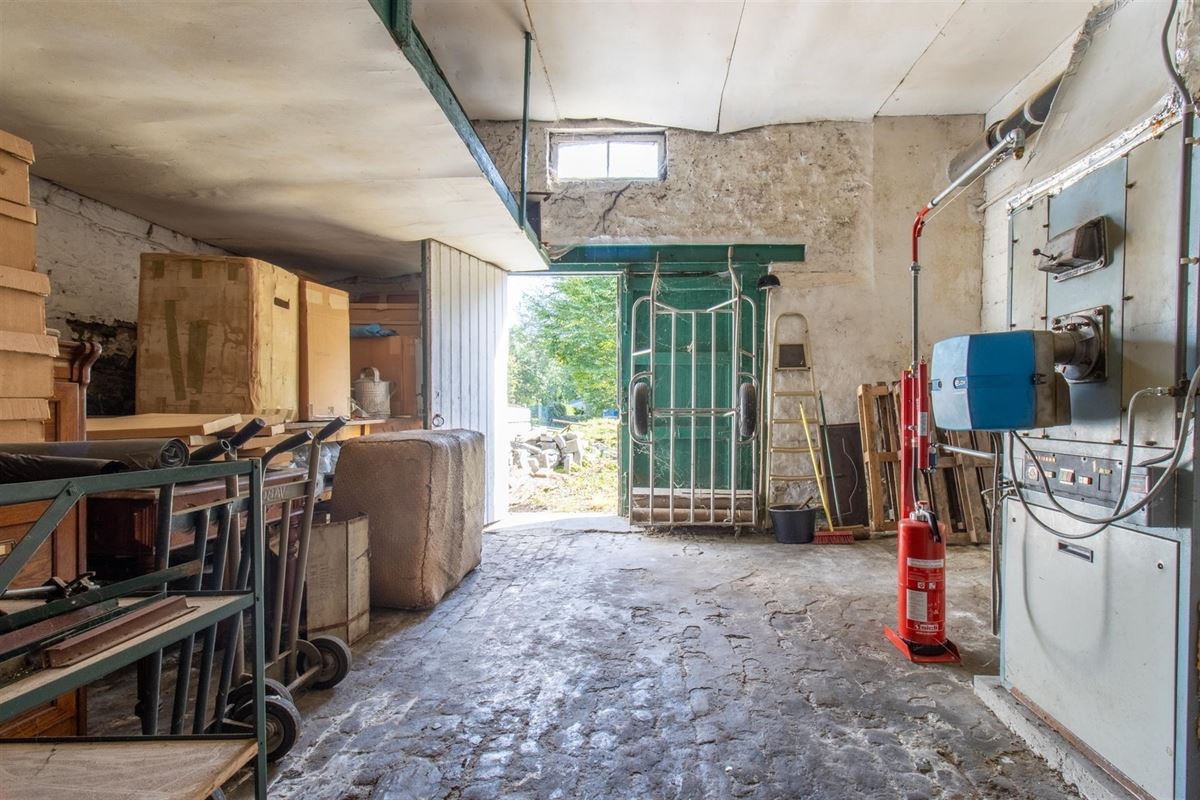 VTWELPLOACE1112- (9).jpg