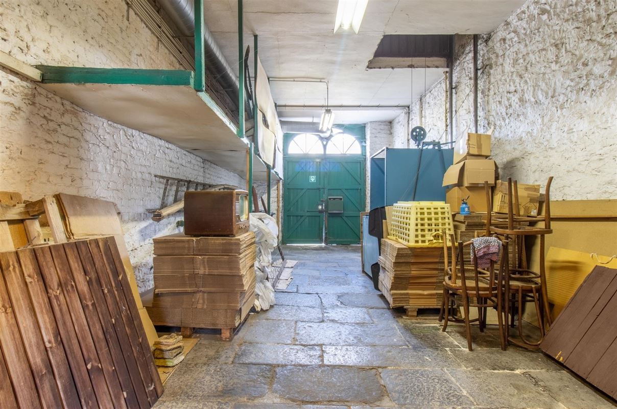 VTWELPLOACE1112- (3).jpg