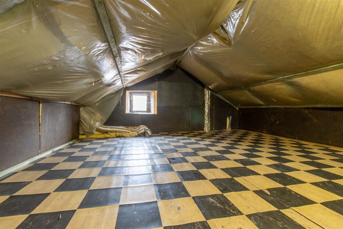 VTWELPAIREE51- (34).jpg