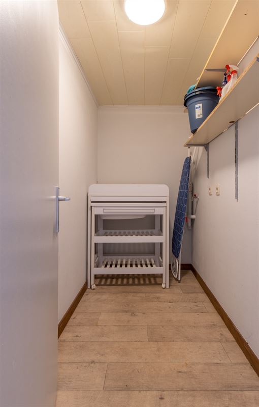 VTWELPAIREE51- (25).jpg