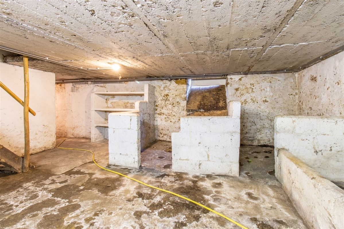 VTWELOIZY36- (26).jpg