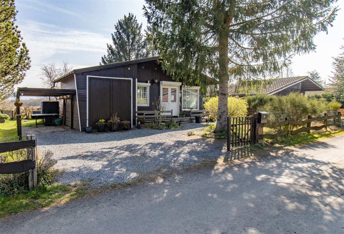 VTWELBRULINS225- (1).jpg