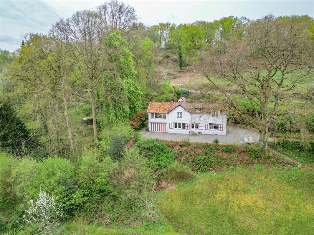 VTWELGAUX104- (7).jpg