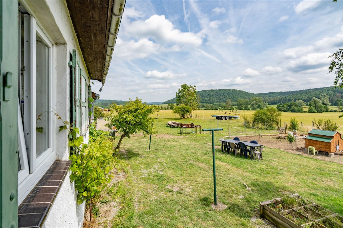 Ave et Auffe-07960.jpg