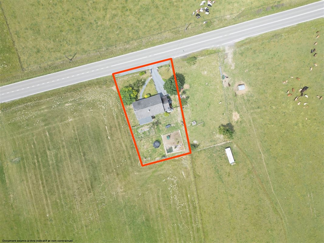 Ave et Auffe--27.jpg