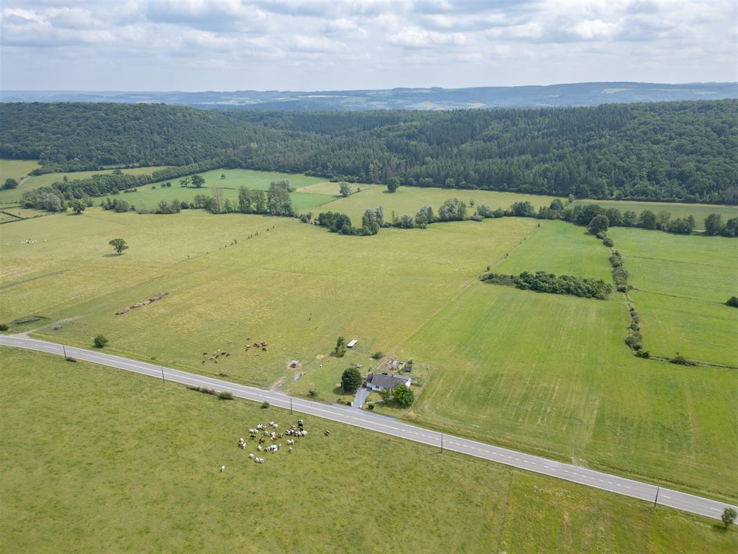 Ave et Auffe-0754.jpg