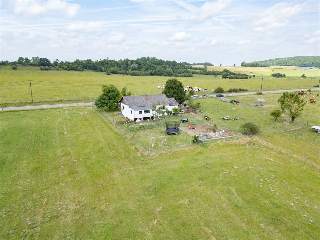 Ave et Auffe-0761.jpg