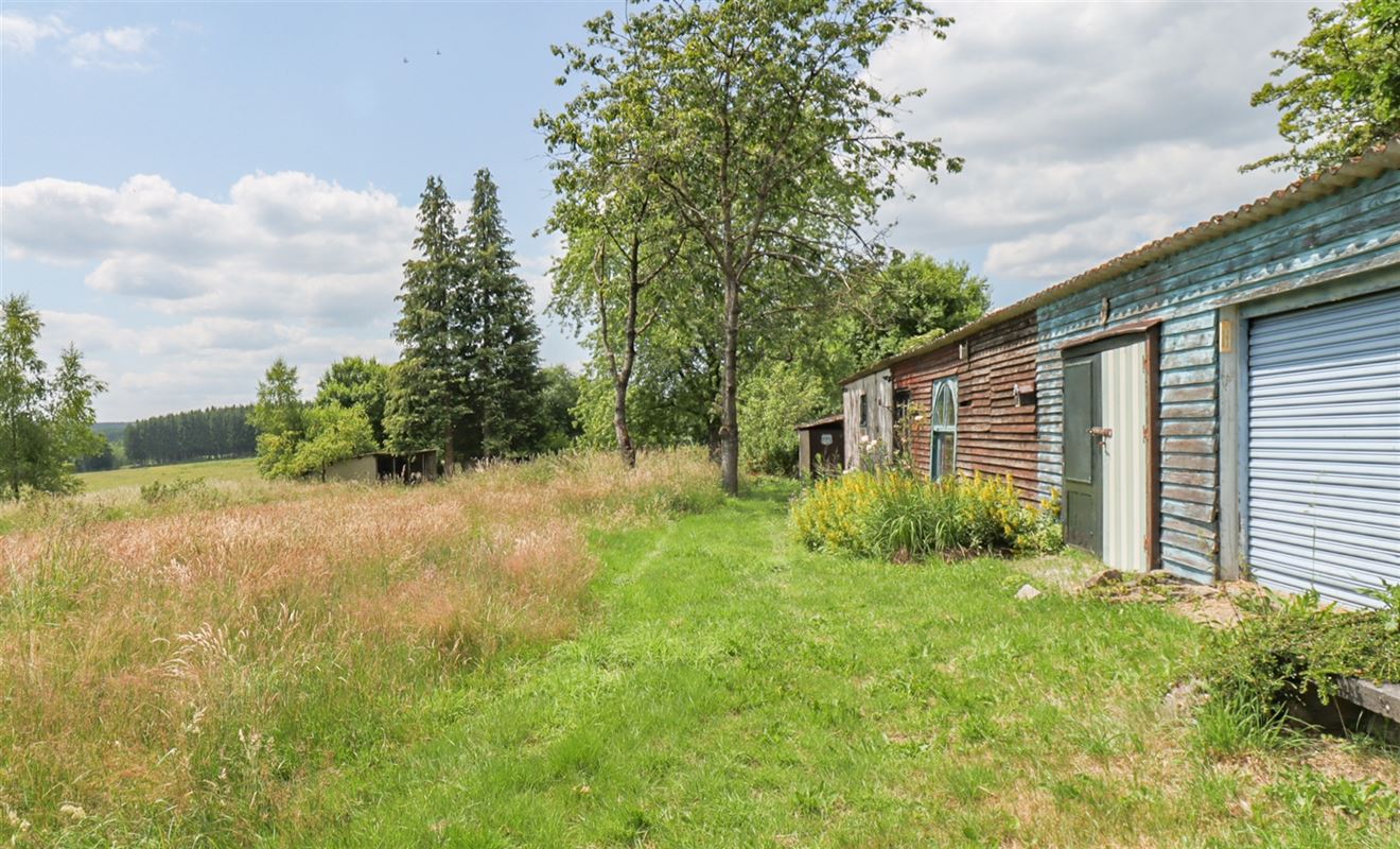 VTWELCHENAI78- (8).jpg