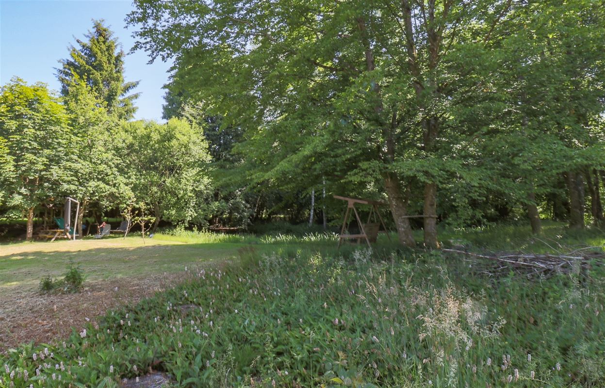 VTGRIVICINAL6- (5).jpg