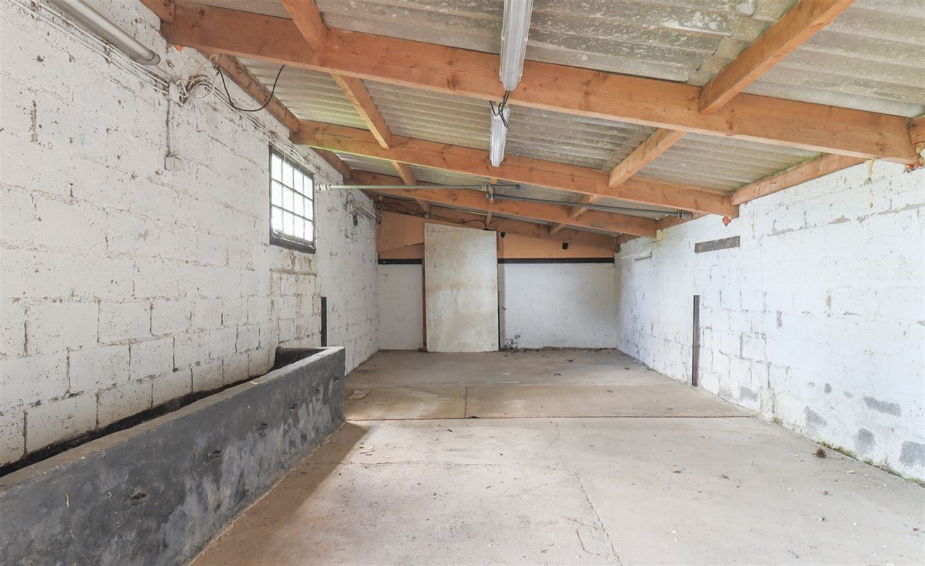 VTWELCHENAI78- (51).jpg