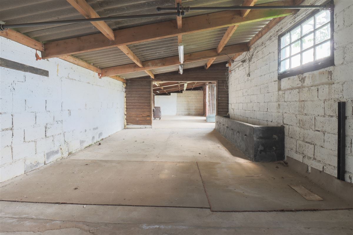 VTWELCHENAI78- (53).jpg