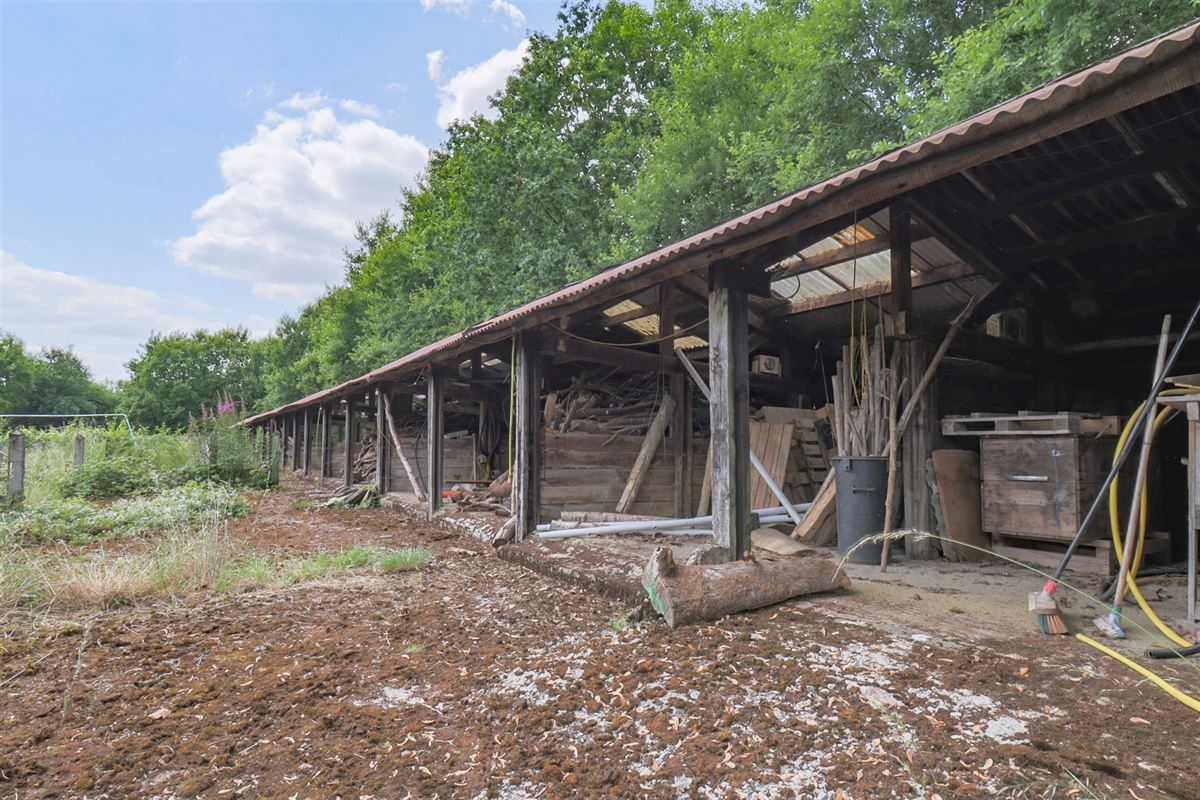 VTWELCHENAI78- (57).jpg