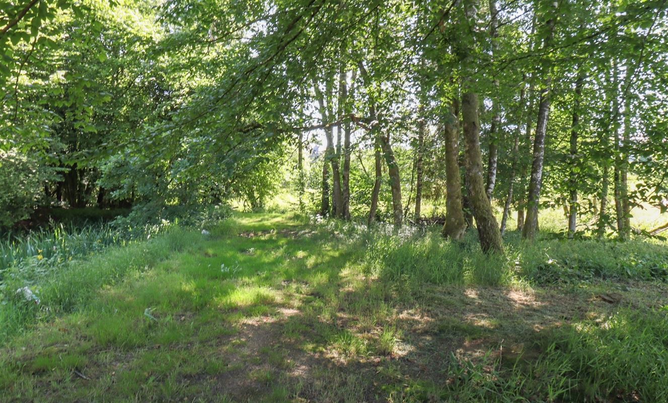 VTGRIVICINAL6- (9).jpg