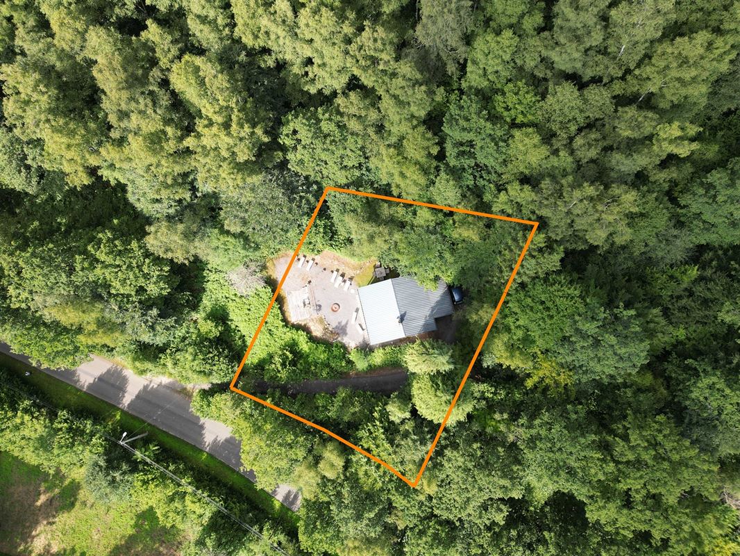 DJI_0894 détourée.JPG