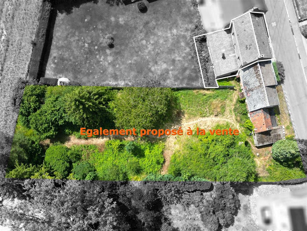 DJI_0838x ok+option.JPG