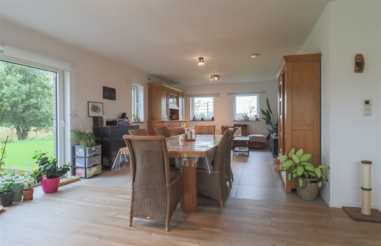 VTWELSCOTTONS17- (4).jpg