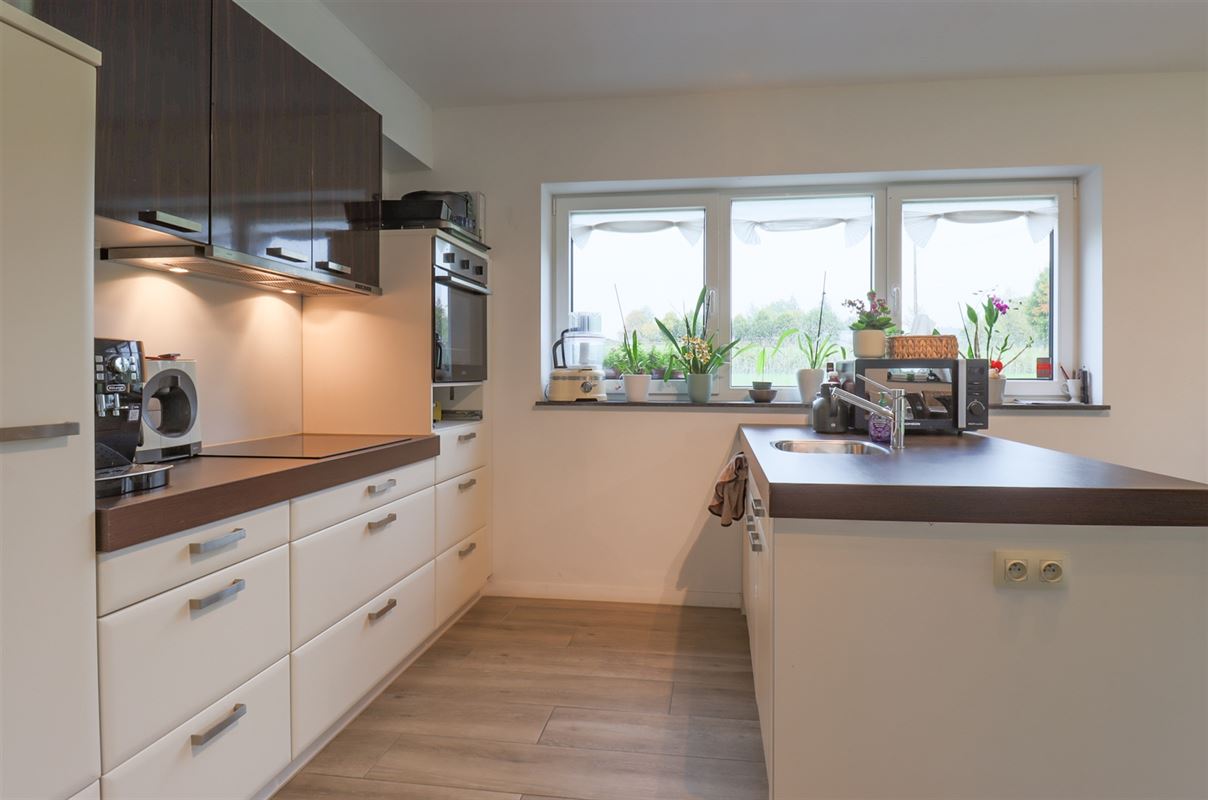 VTWELSCOTTONS17- (7).jpg