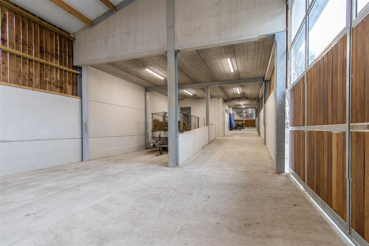 VTWELTIENNE2- (21).jpg