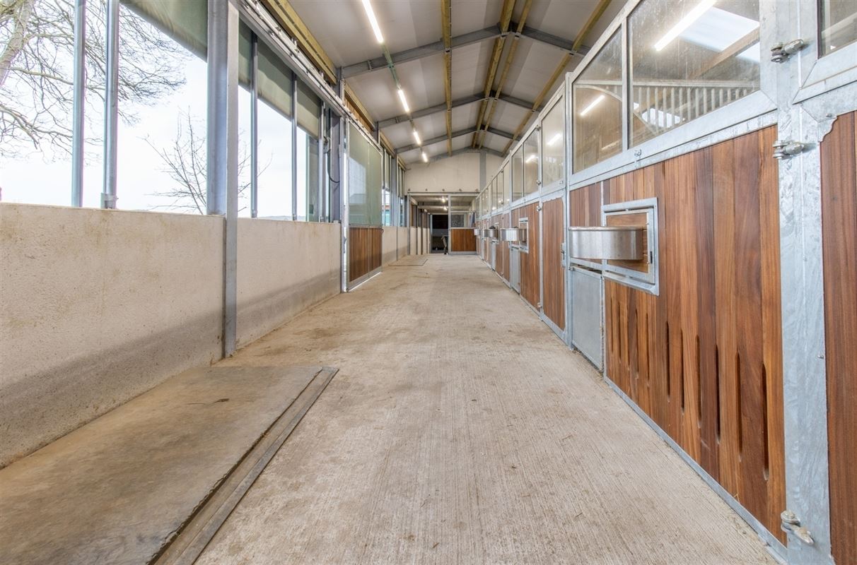 VTWELTIENNE2- (12).jpg