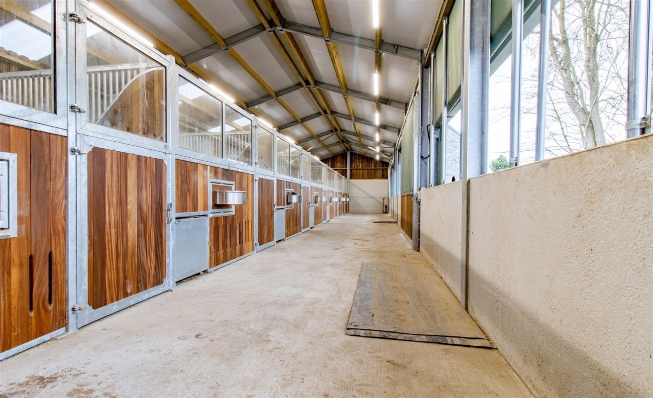 VTWELTIENNE2- (5).jpg