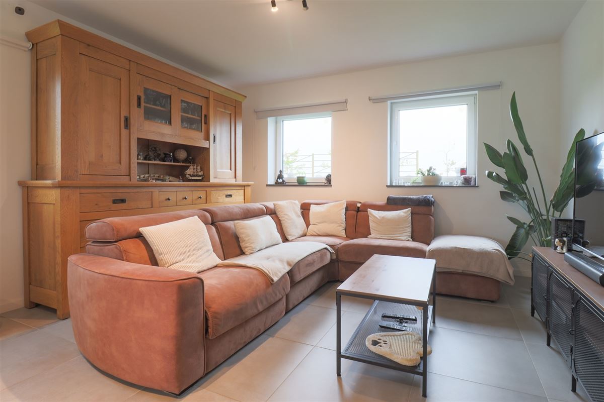 VTWELSCOTTONS17- (2).jpg