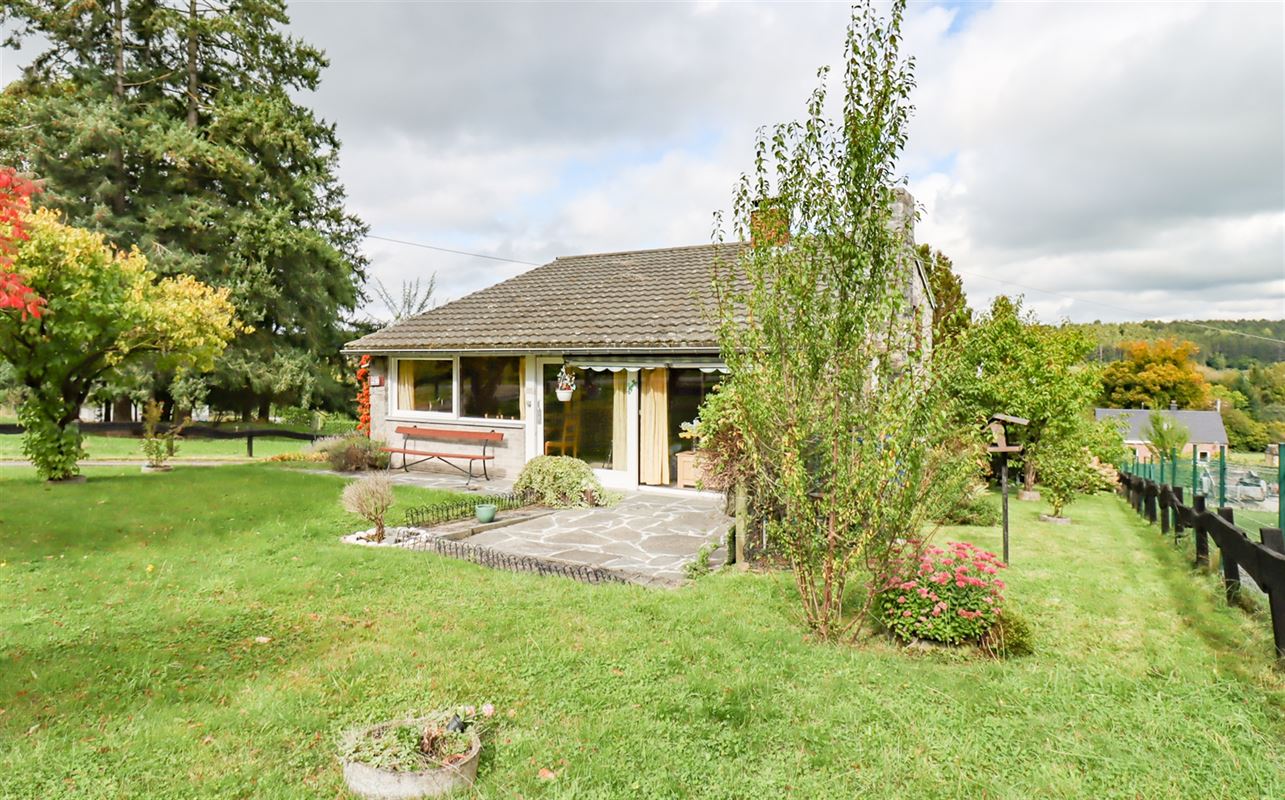 VTWELENHAUT60- (5).jpg