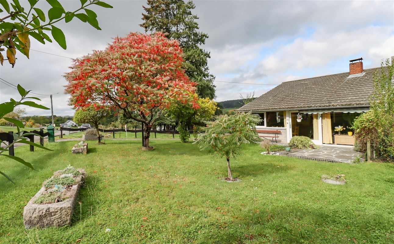 VTWELENHAUT60- (6).jpg