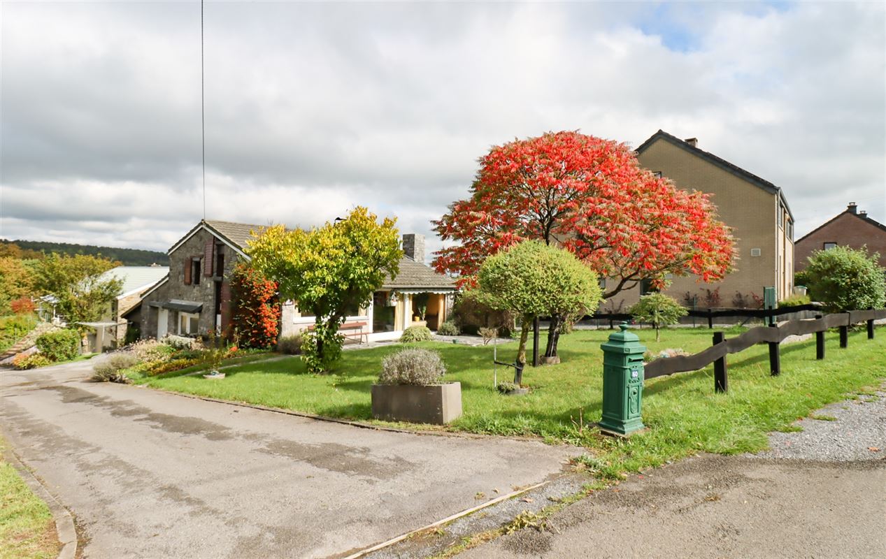 VTWELENHAUT60- (1).jpg