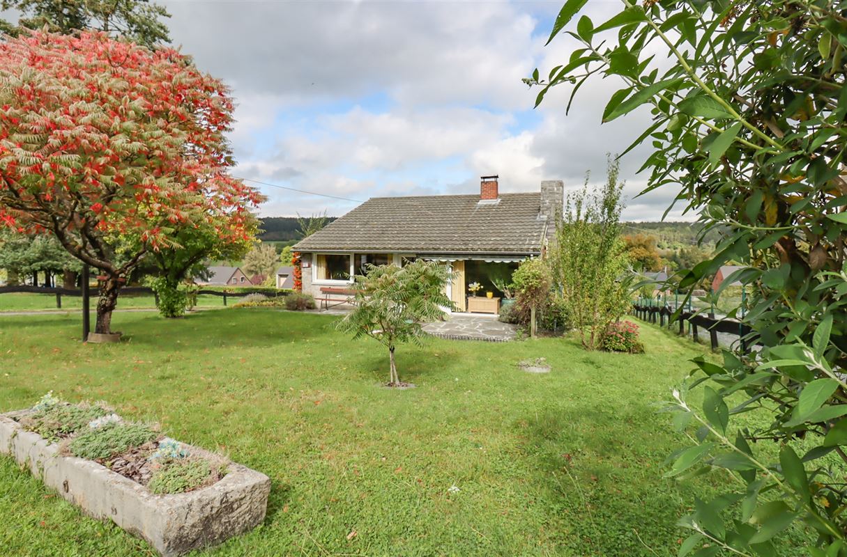 VTWELENHAUT60- (3).jpg