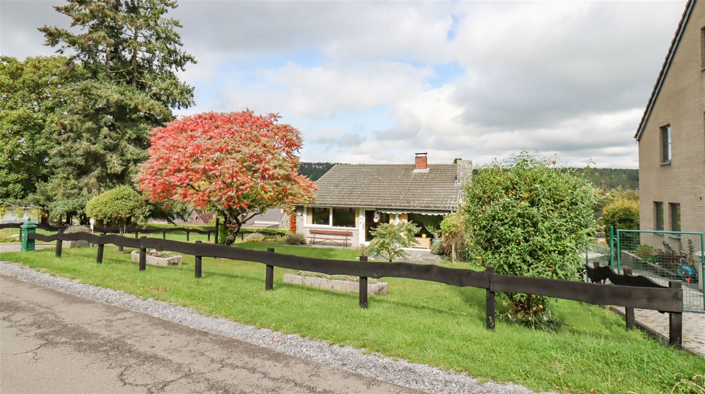 VTWELENHAUT60- (2).jpg