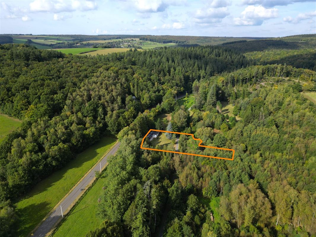 DJI_0998 détourée.JPG