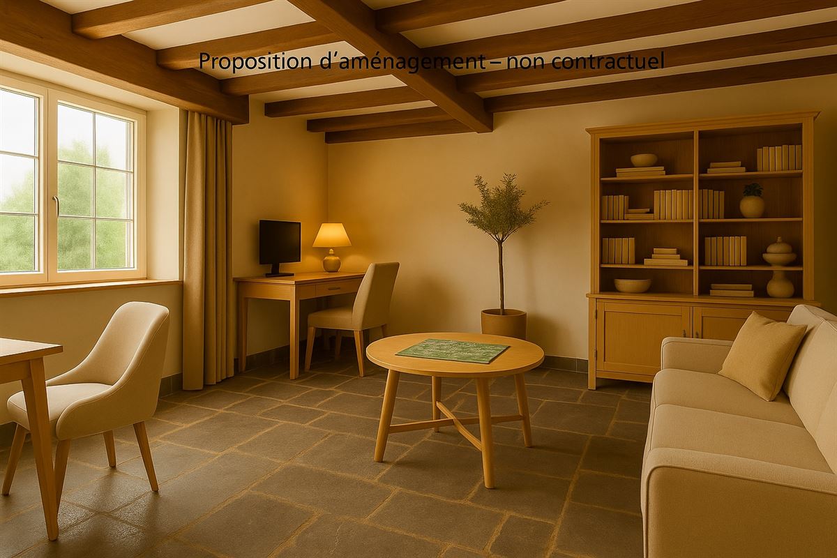 Salon au style rustique classique