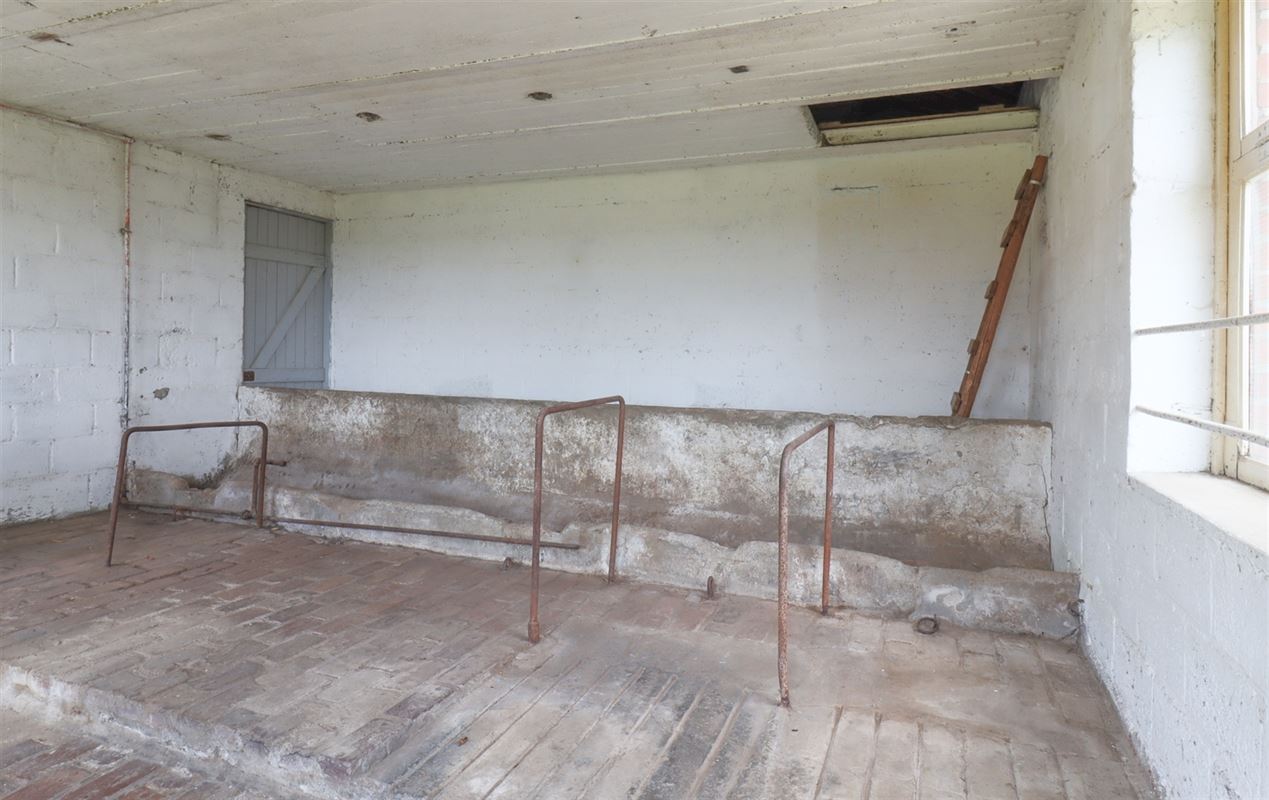 VTWELBIERVE3- (27).jpg