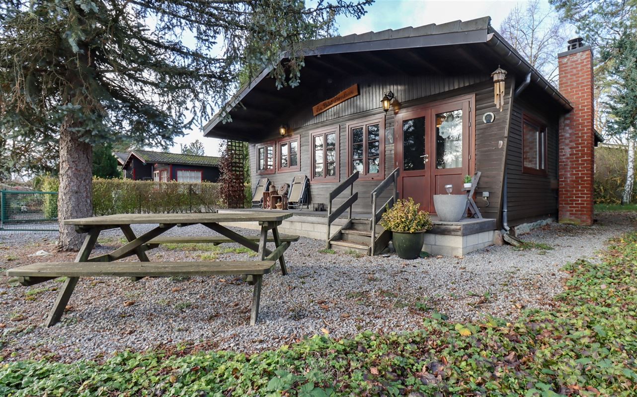 VTWELBRULINS95- (5).jpg