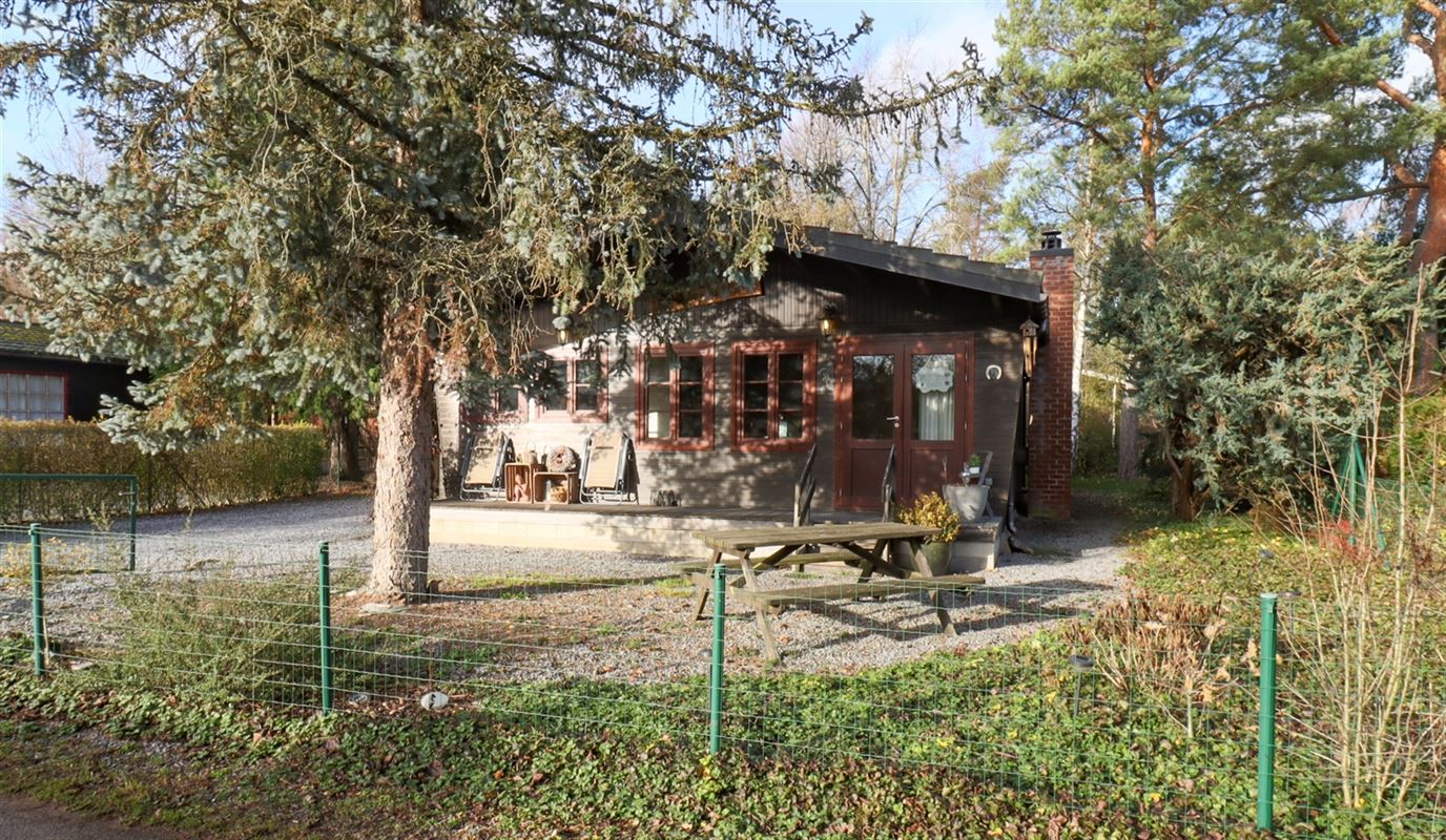 VTWELBRULINS95- (2).jpg