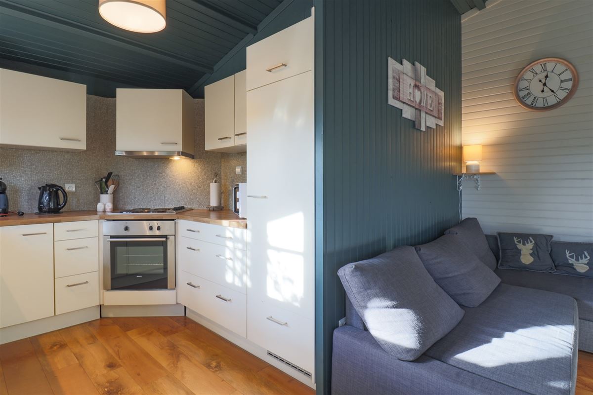 VTWELBRULINS95- (10).jpg