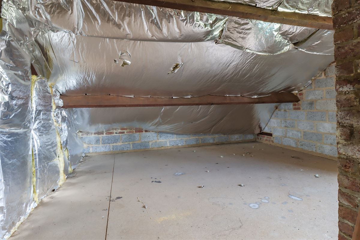 VTWELFALLOISE107- (32).jpg