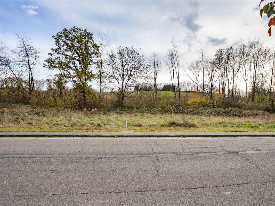 Terrain Tellin-02561