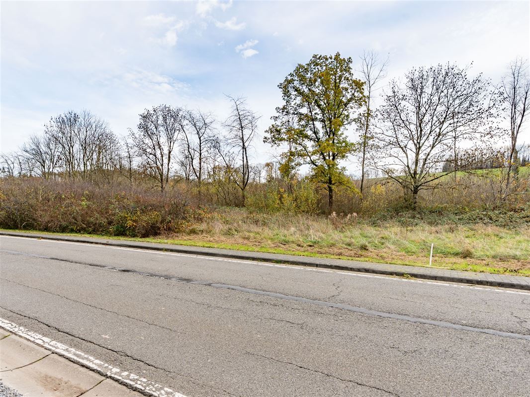 Terrain Tellin-02560